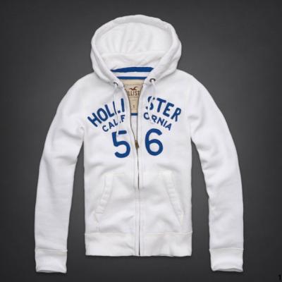 Hollister Men Hoodies-119